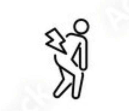 Back Pain